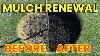 Make Your Mulch Look Brand New Without Adding New Mulch Reel Mowing Bermuda At 1 2 Inch